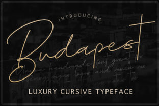 Budapest Family: A Script Handwritten Font for Modern Digital Branding