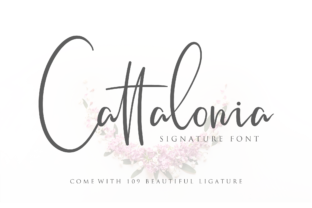 Cattalonia: A Script Handwritten Font for Scroll-Stopping Branding