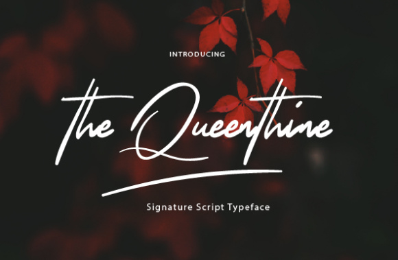 The Queenthine: A Signature Script Handwritten Font for Scroll-Stopping Brand Content