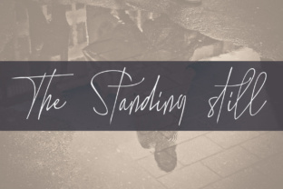 The Standing Still: A Script Handwritten Font for Editorial Elegance